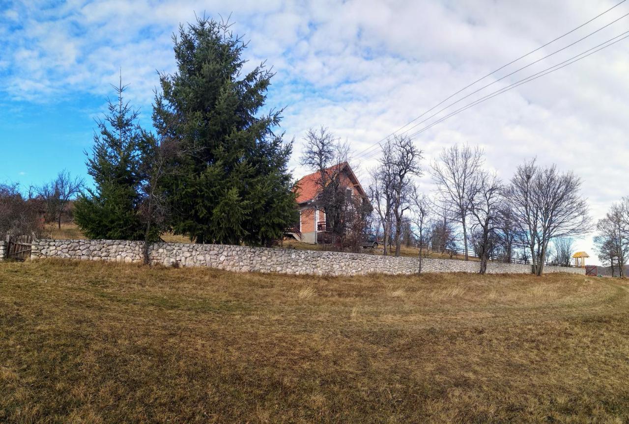 Srdica Kuca *